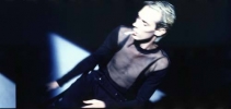 peter murphy photo