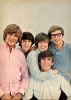peter noone image1