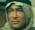 peter o toole picture2