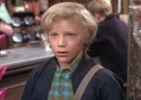 peter ostrum image