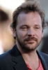 peter sarsgaard photo1