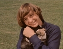 peter tork image2