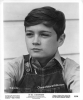 phillip alford image