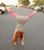 phoebe price image1