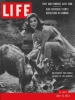 pier angeli picture4
