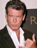 pierce brosnan image2
