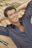 pierce brosnan photo