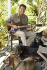 pierce brosnan pic