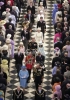 prince william picture1