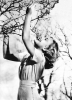 priscilla lane picture4