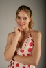 rachel blanchard photo1