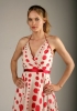 rachel blanchard picture1
