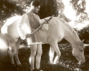 ramon novarro photo2
