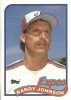 randy johnson picture1