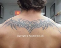 randy orton image