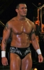 randy orton img