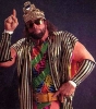 randy savage img