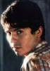 raphael image1