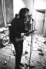 ray davies photo1