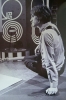 ray davies picture