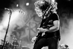 ray toro image3