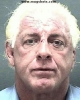 ric flair image