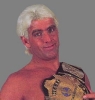 ric flair picture2