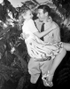 richard arlen picture1