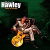 richard hawley photo1