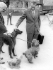 richard nixon picture2