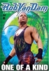 rob van dam pic rob van dam pic