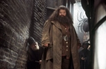 robbie coltrane picture1