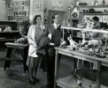 robert benchley photo