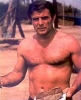 robert conrad img