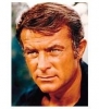 robert conrad photo