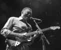 robert cray image1