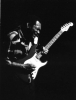 robert cray photo