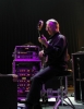 robert fripp image1