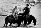 robert redford image1