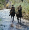 robert redford picture