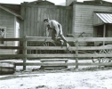 robert ryan picture1
