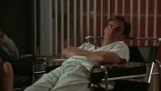 robert sean leonard image