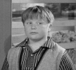 robert stevens image