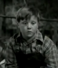 robert stevens image2