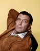 robert taylor image4