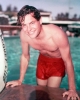 robert wagner photo