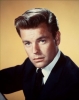 robert wagner photo2