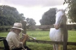robert wyatt picture4
