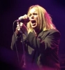 robin zander image