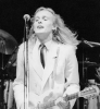 robin zander pic
